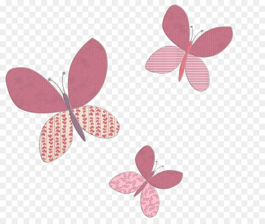 M Papillon，Rose M PNG