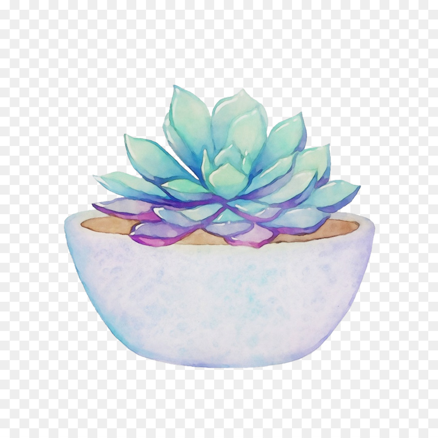 Succulent，Plante En Pot PNG