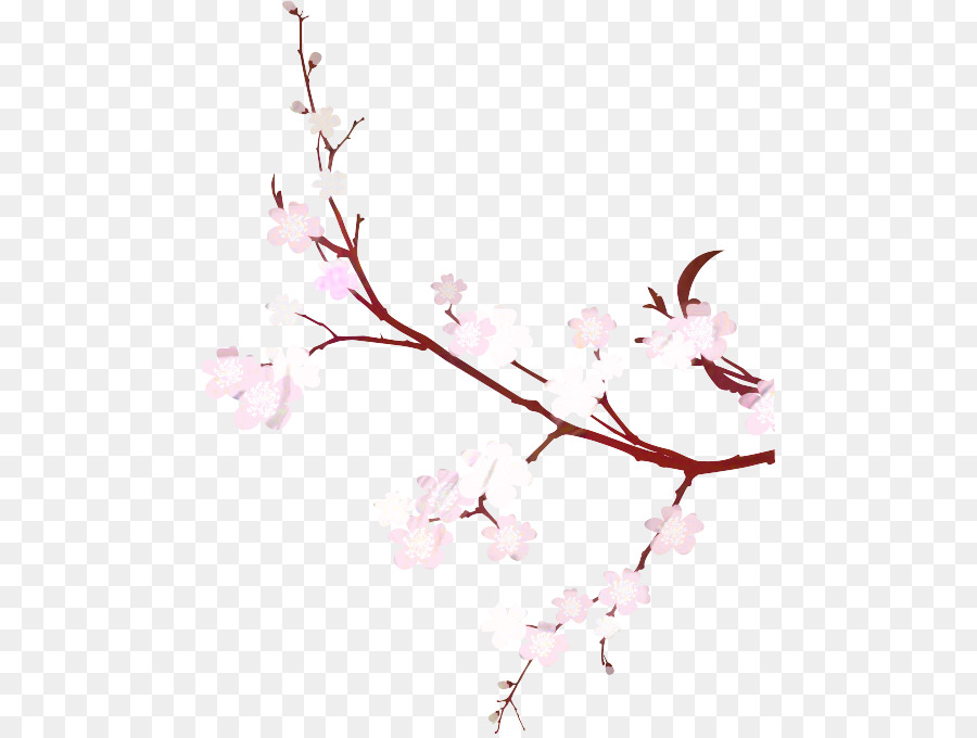 Branche De Fleurs De Cerisier，Fleurs PNG