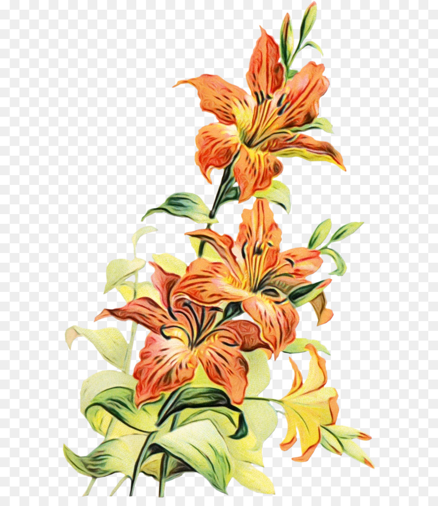 Fleurs Colorées，Fleurs PNG