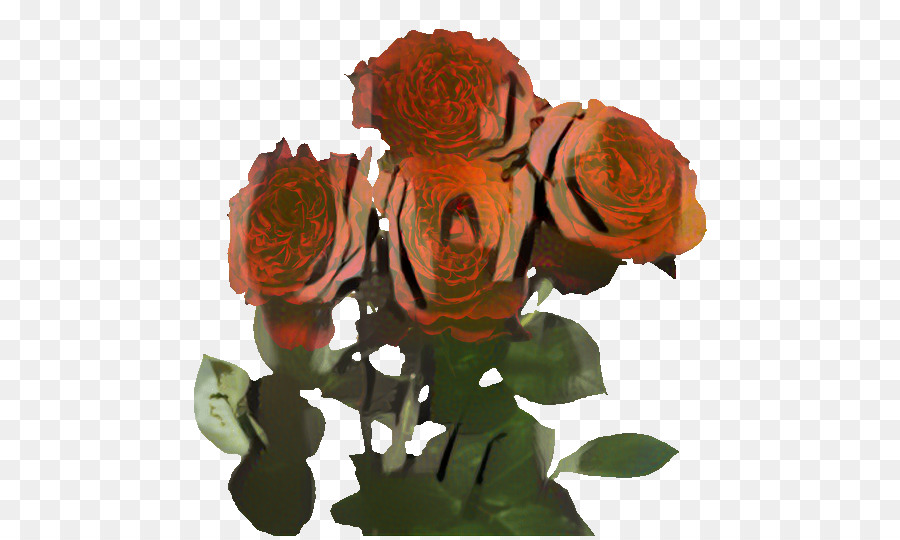 Les Roses De Jardin，Rose PNG