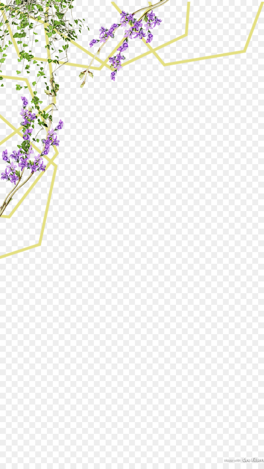 Bordure Florale，Fleurs PNG