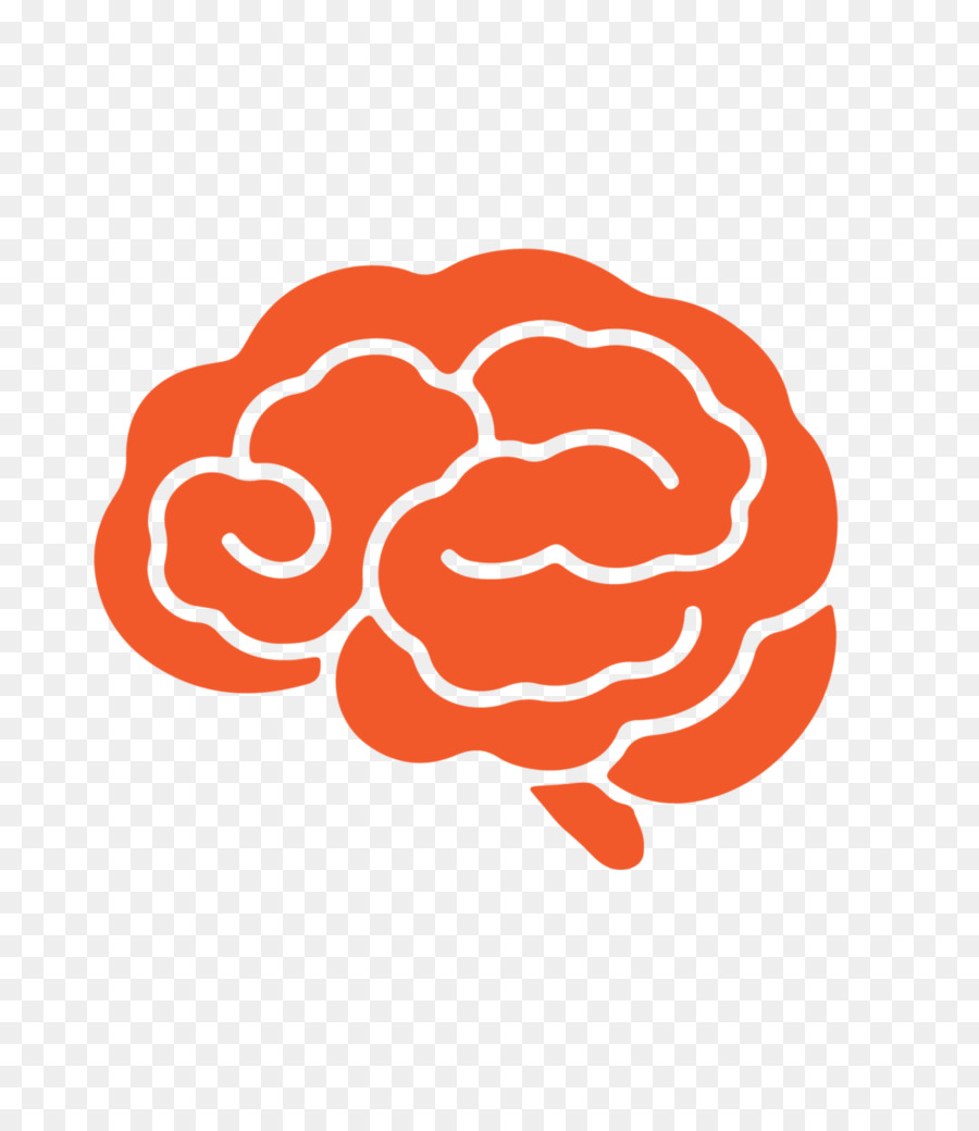 Cerveau Orange，Cerveau PNG