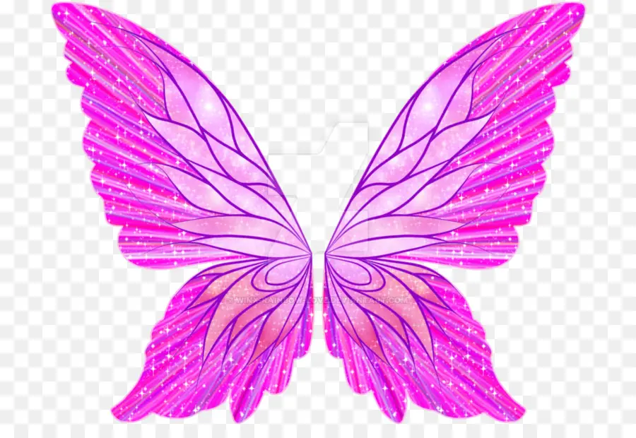 Ailes De Papillon，Rose PNG