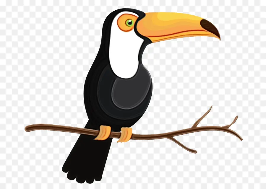 Toucan，Bec PNG