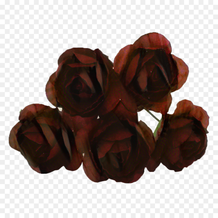 Praline， PNG