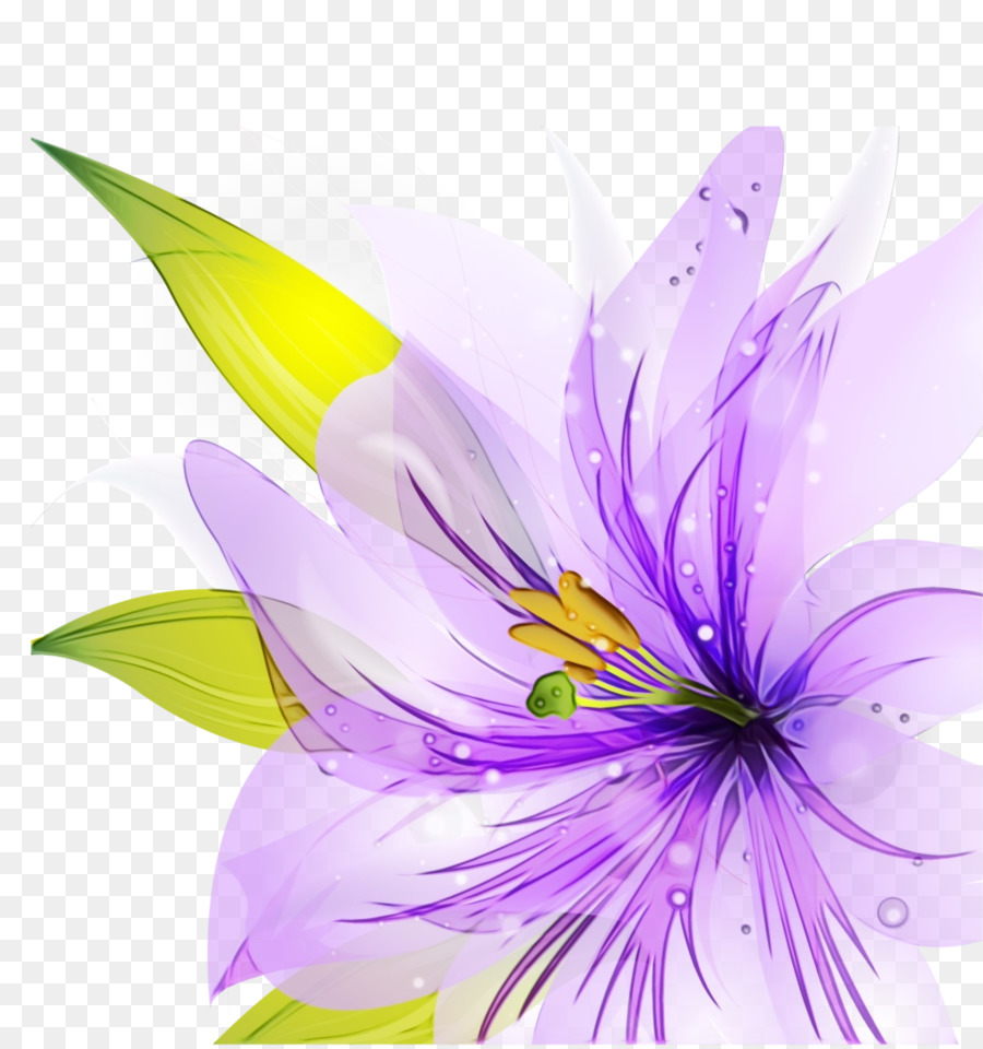 Design Floral，Lys PNG