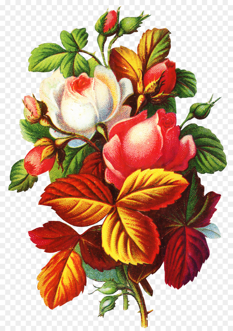 Bouquet De Fleurs，Roses PNG