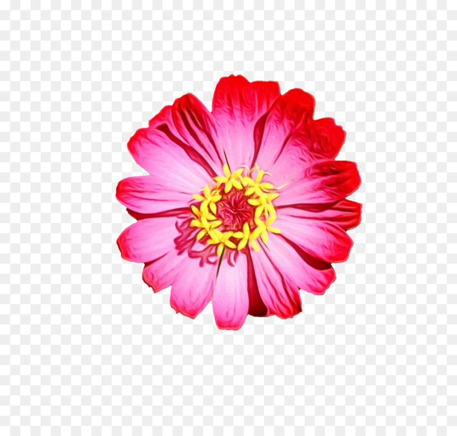 Fleur，Rouge PNG