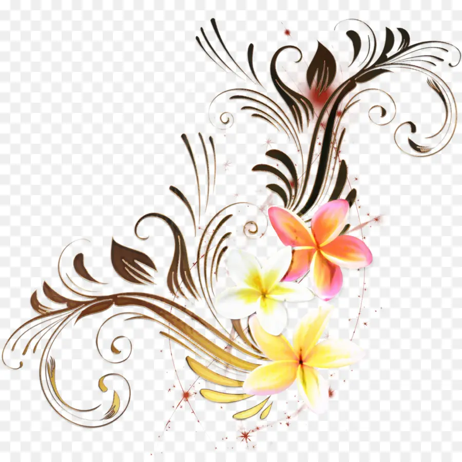 Design Floral，Arts Visuels PNG