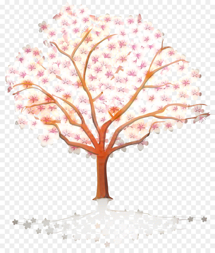 Cerisier En Fleurs，Fleurs PNG