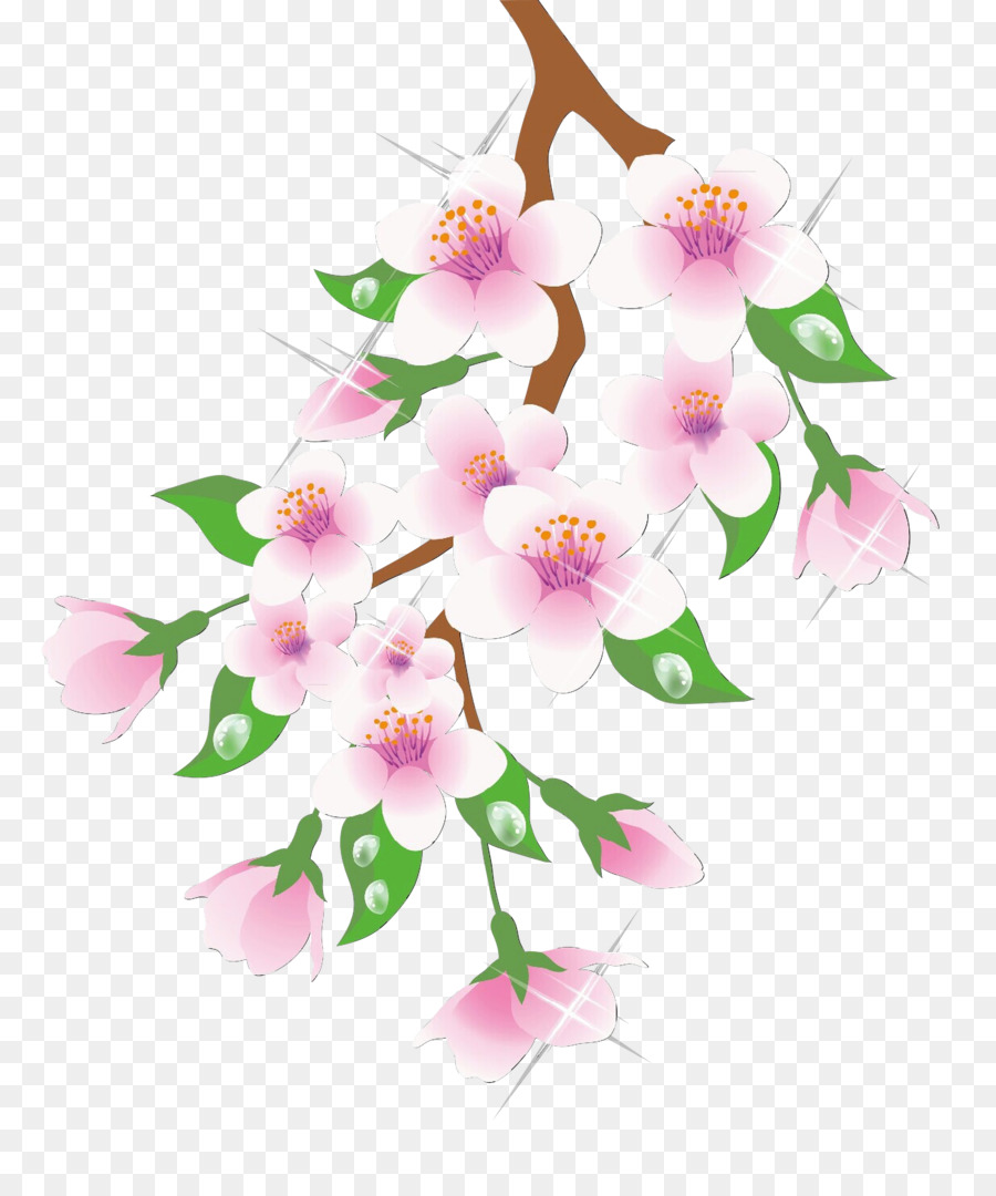 Fleur De Cerisier，Fleurs PNG