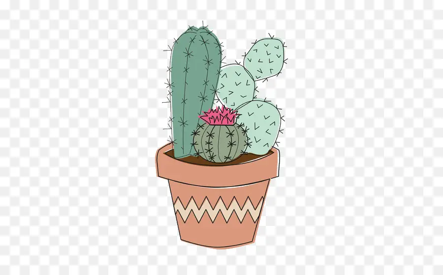 Cactus，Pot PNG