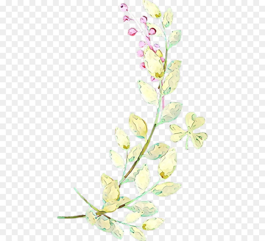Design Floral，Fleur De Cerisier PNG