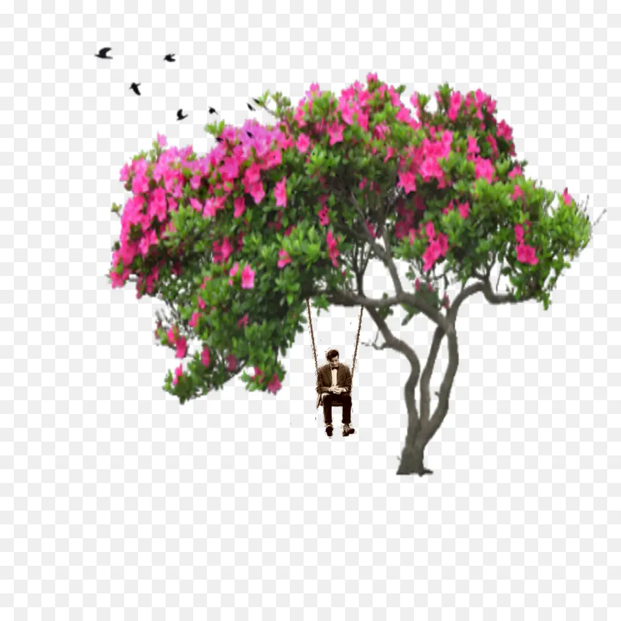 Arbre Avec Balançoire，Fleurs Roses PNG