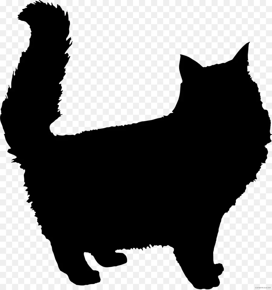 Silhouette De Chat Noir，Félin PNG