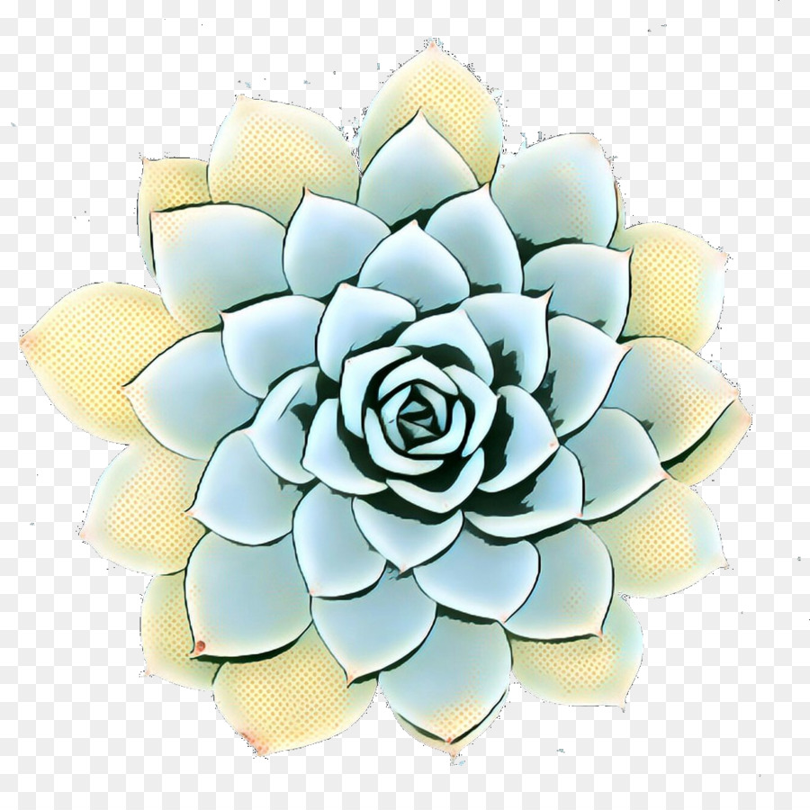 Succulent，Vert PNG