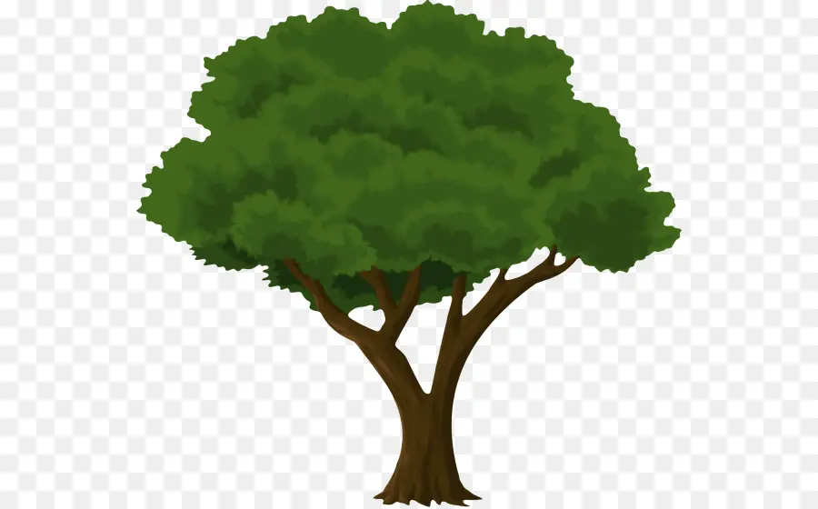 Arbre Vert，Nature PNG