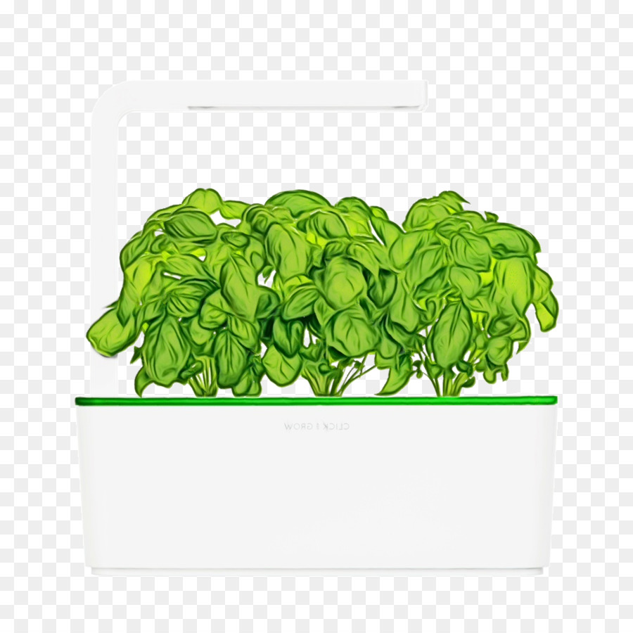 Les Verts，Flowerpot PNG