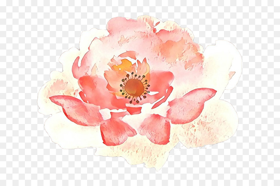 Fleur，Rose PNG