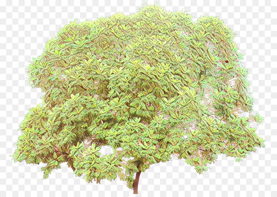 Arbre，Herbe PNG