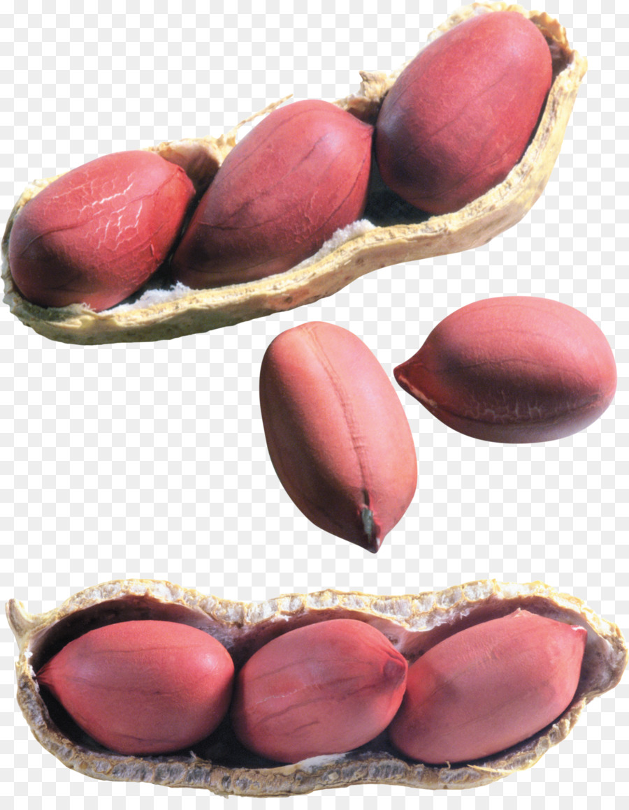 Chocolatecoated D'arachide，D'arachide PNG