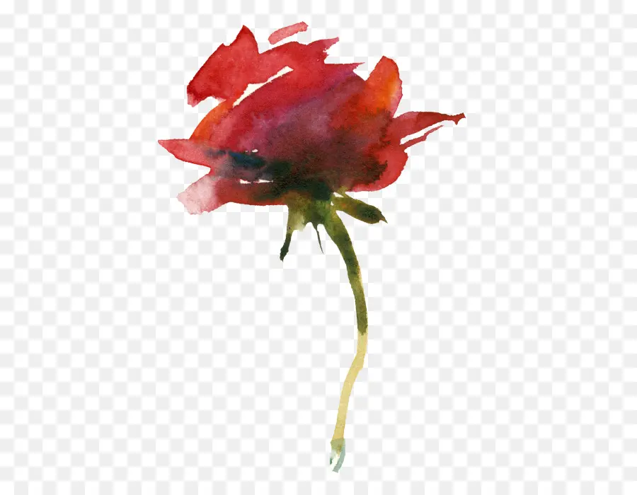 Les Roses De Jardin，Les Fleurs Coupées PNG
