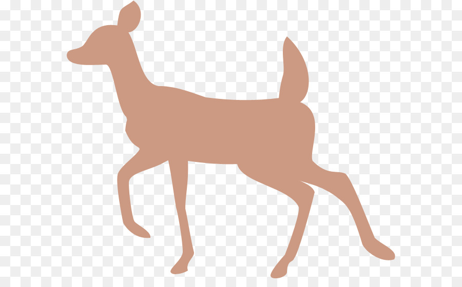 Cerf，Silhouette PNG