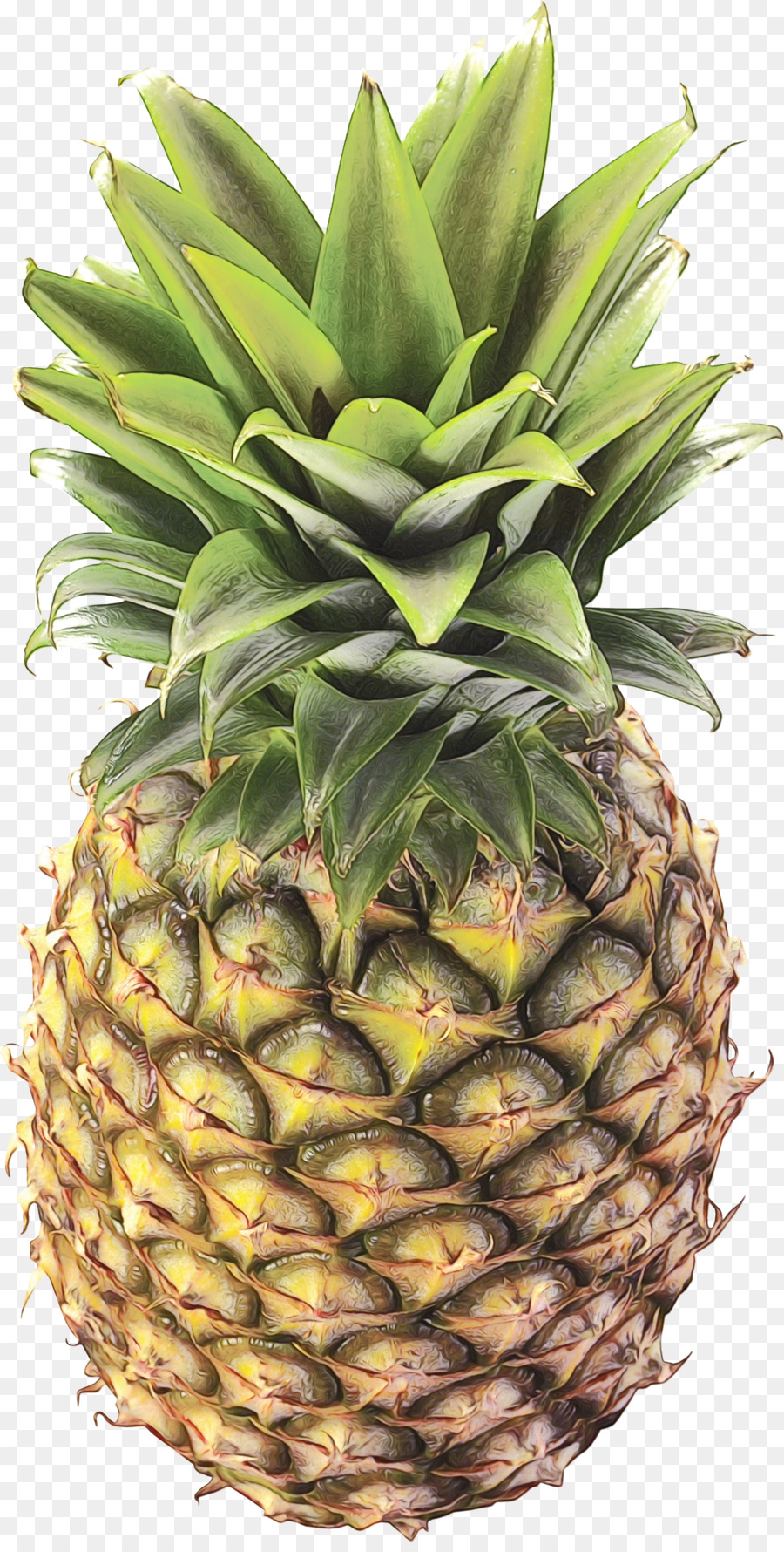 Ananas Bleu，Fruit PNG