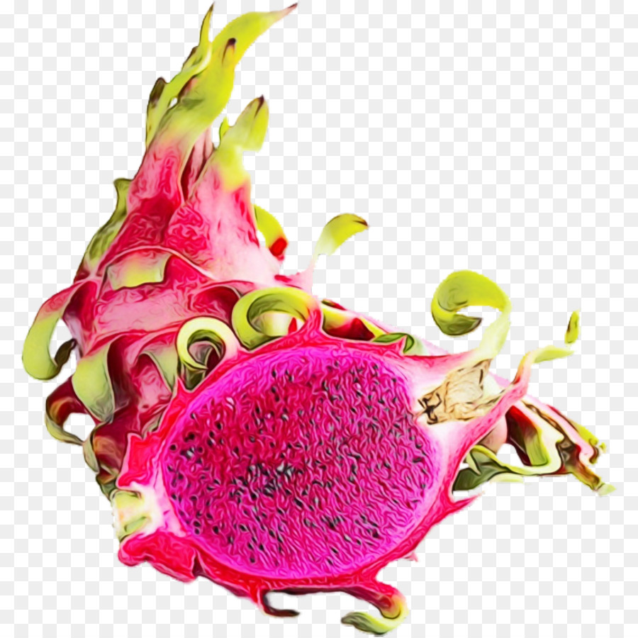 Fruit Du Dragon，Fruit PNG