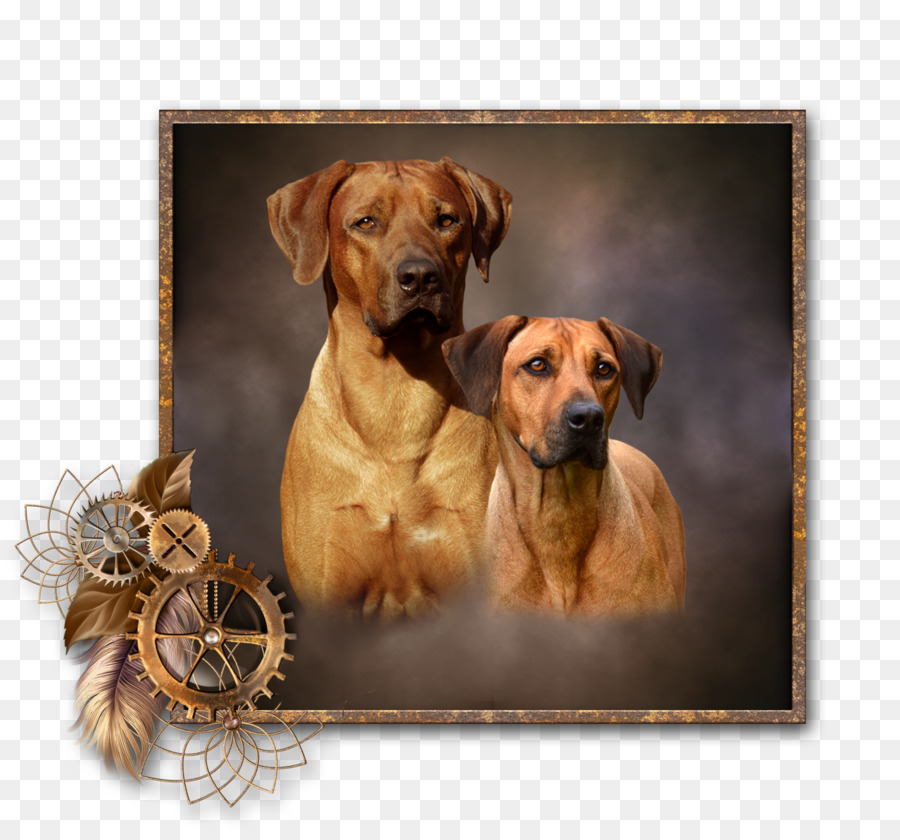 Tosa，Rhodésien Ridgeback PNG