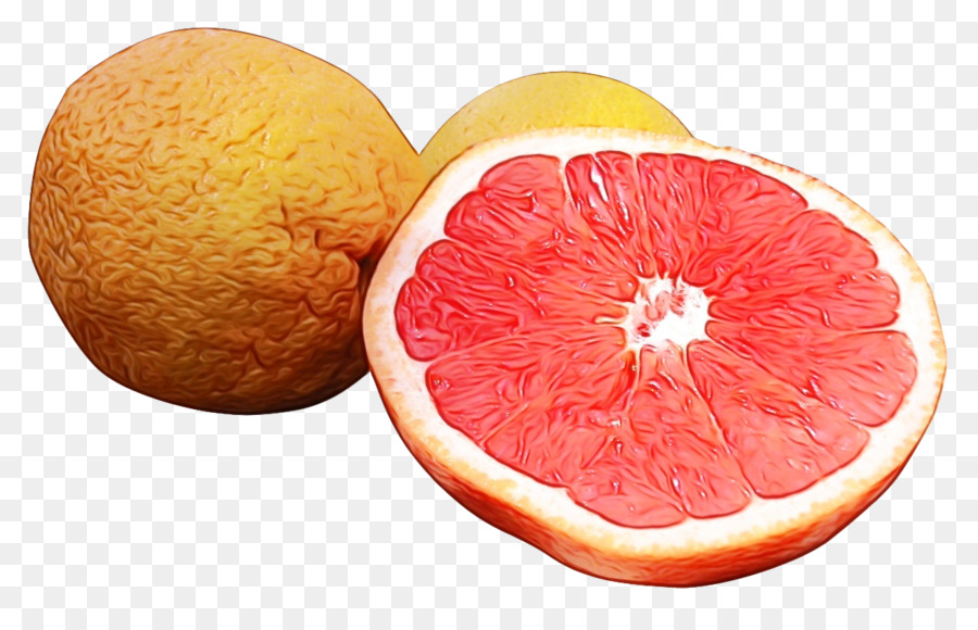 Pamplemousse，Agrumes PNG