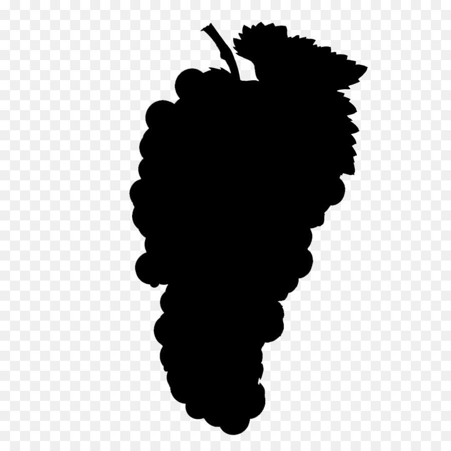 Raisins，Vigne PNG