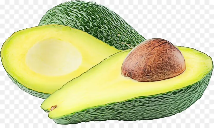 Avocat，Vert PNG