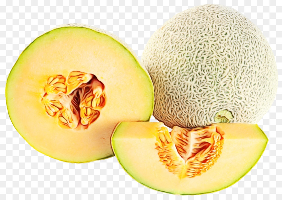 Melon，Tranche PNG