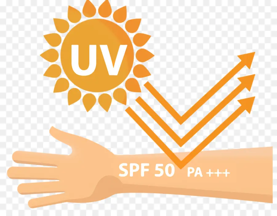 Protection Uv，Protection Solaire PNG