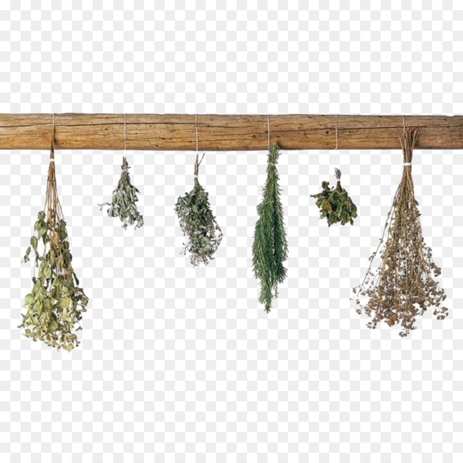 Herbes Séchées，Suspendu PNG