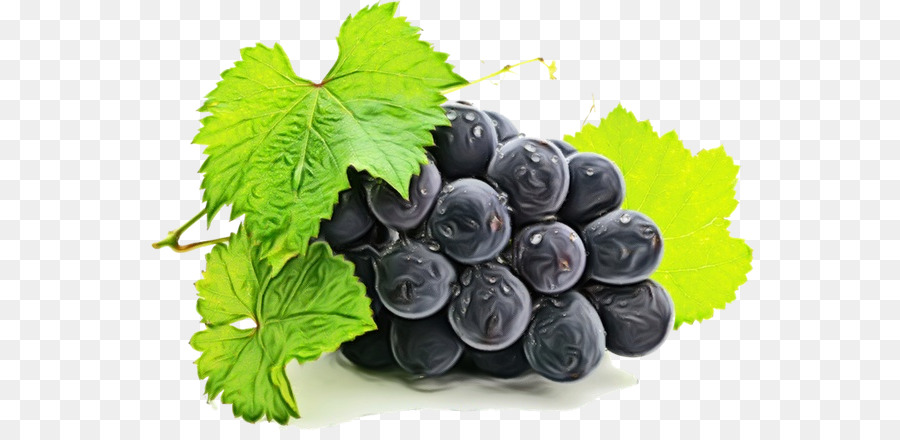 Raisins，Violet PNG