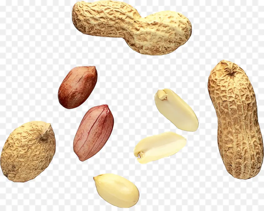 Cacahuètes，Noix PNG