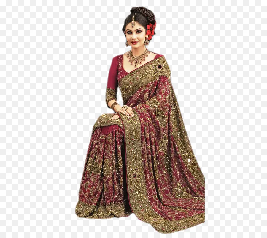 Sari，L'inde PNG