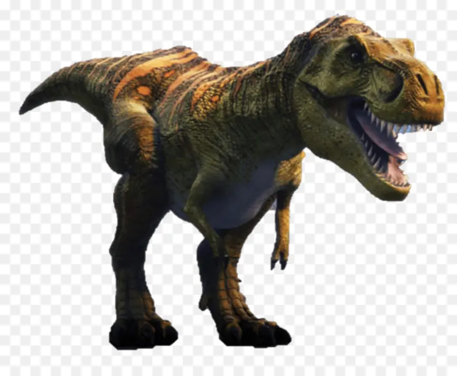 Stygimoloch，Dinosaure PNG