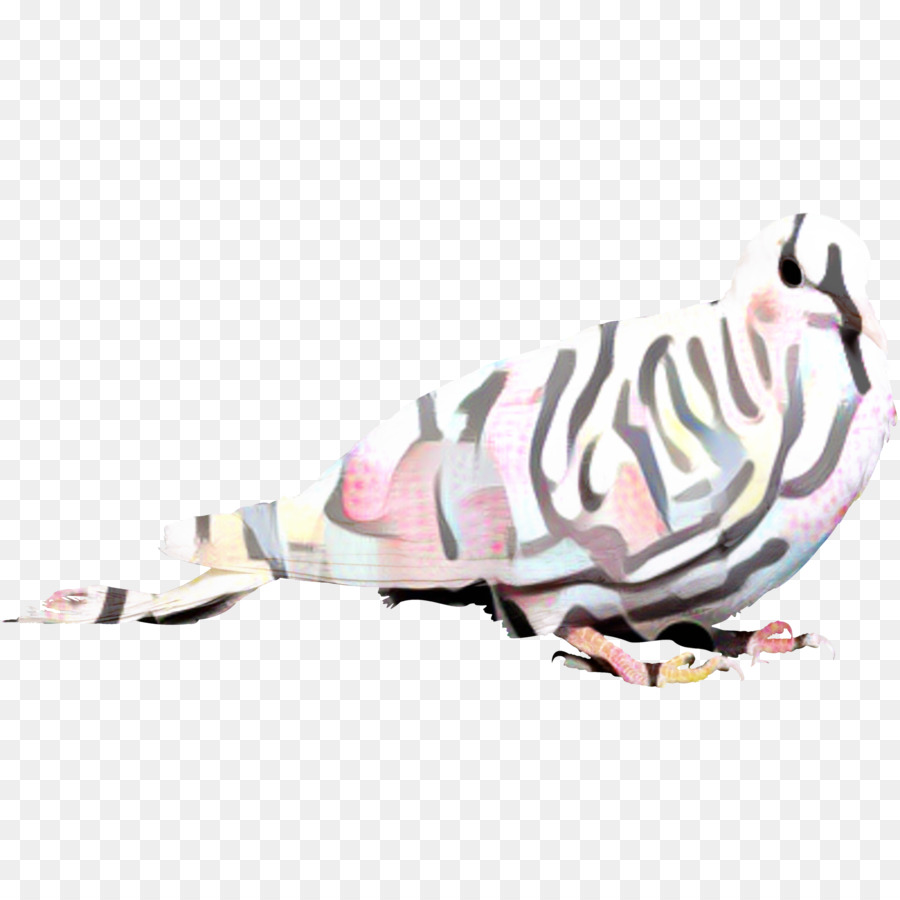 Animal，Chaussure PNG