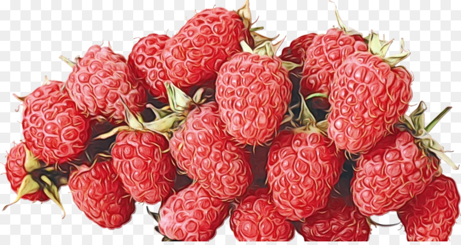 Fraise，Loganberry PNG