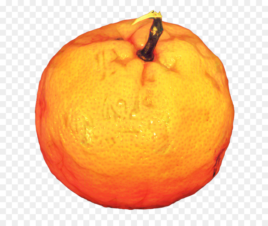 Clémentine，Le Mandarin Orange PNG