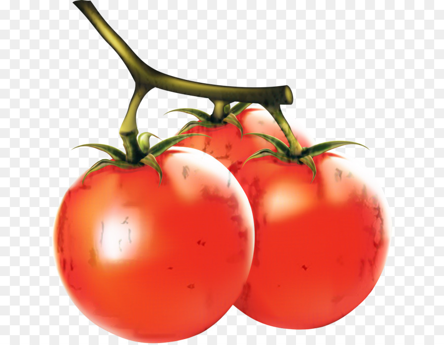 Tomate Prune，La Barbade Cerises PNG