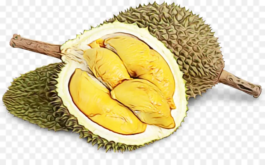 Le Durian，Super PNG