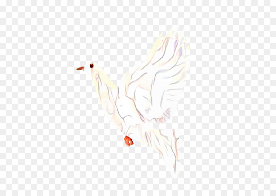 Poulet，Dessin PNG