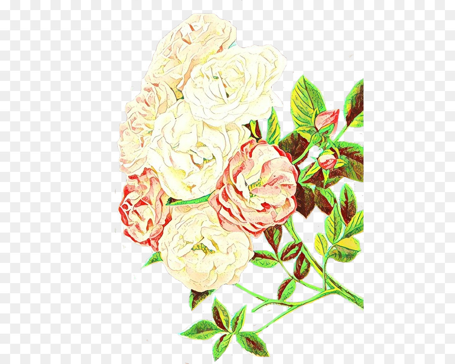 Oeillet Rose，Tige PNG