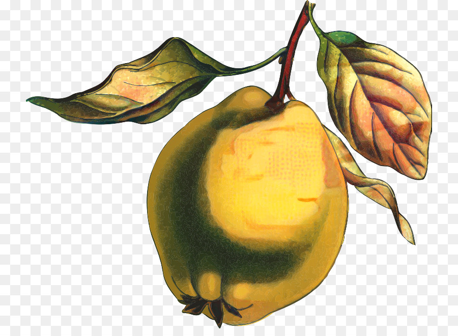 Poire，La Nourriture PNG