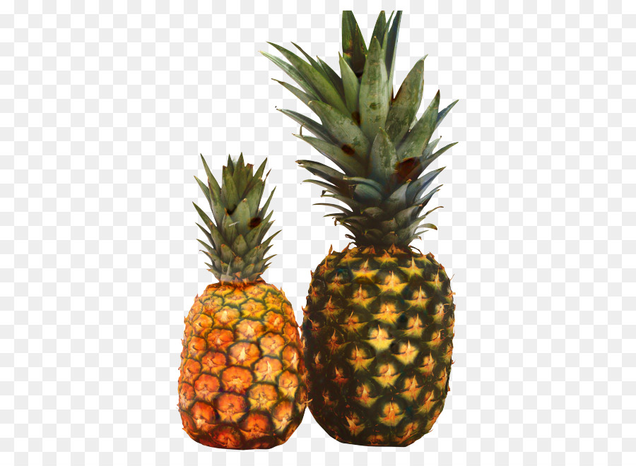 Ananas，Tropical PNG